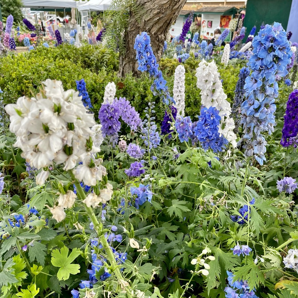 Meet your Posher, Ekaterina